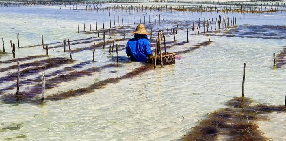 viaggio di gruppo a Zanzibar