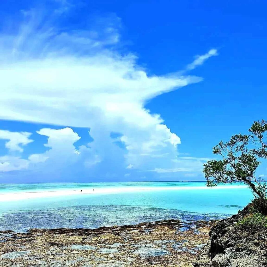 tour del nord di Zanzibar