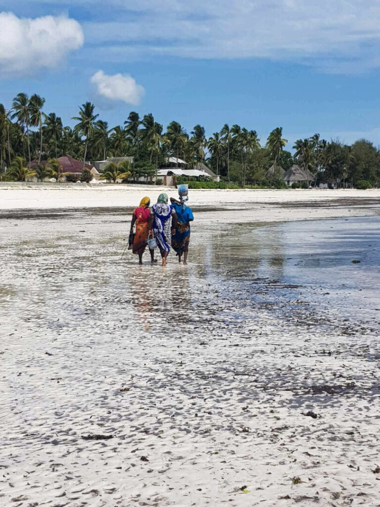 Cosa portare a Zanzibar