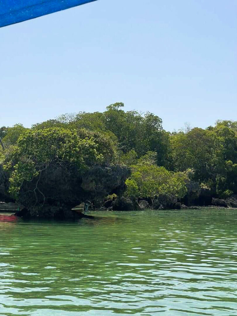 Safari Blu a Zanzibar