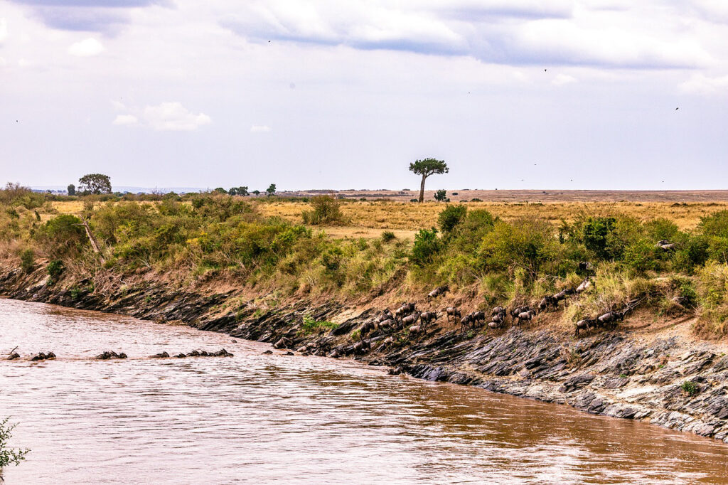 Viaggio di gruppo in Tanzania tribù e grande migrazione