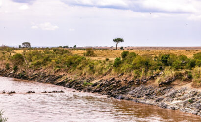 Viaggio di gruppo in Tanzania tribù e grande migrazione