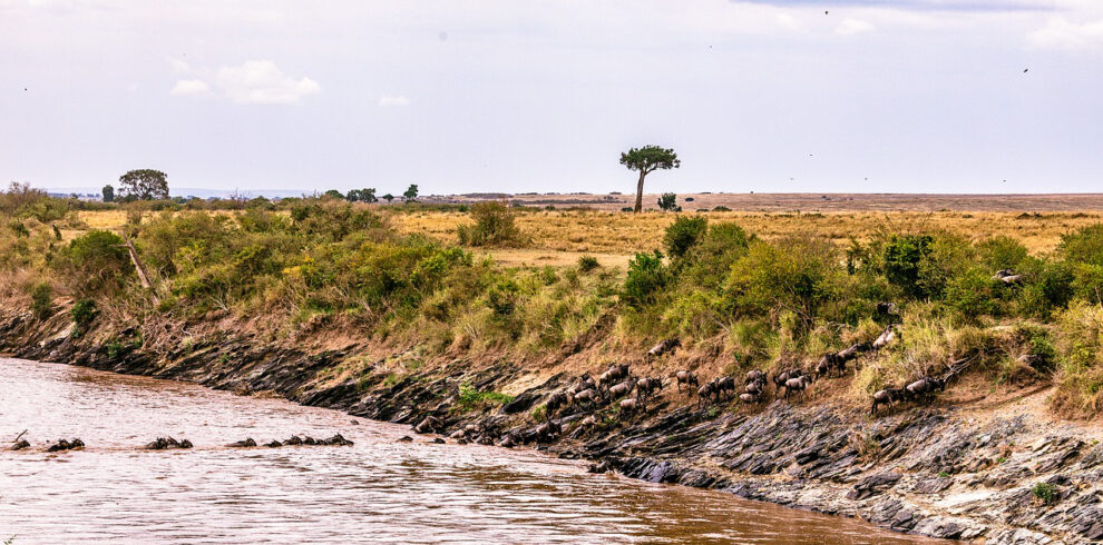 Viaggio di gruppo in Tanzania tribù e grande migrazione