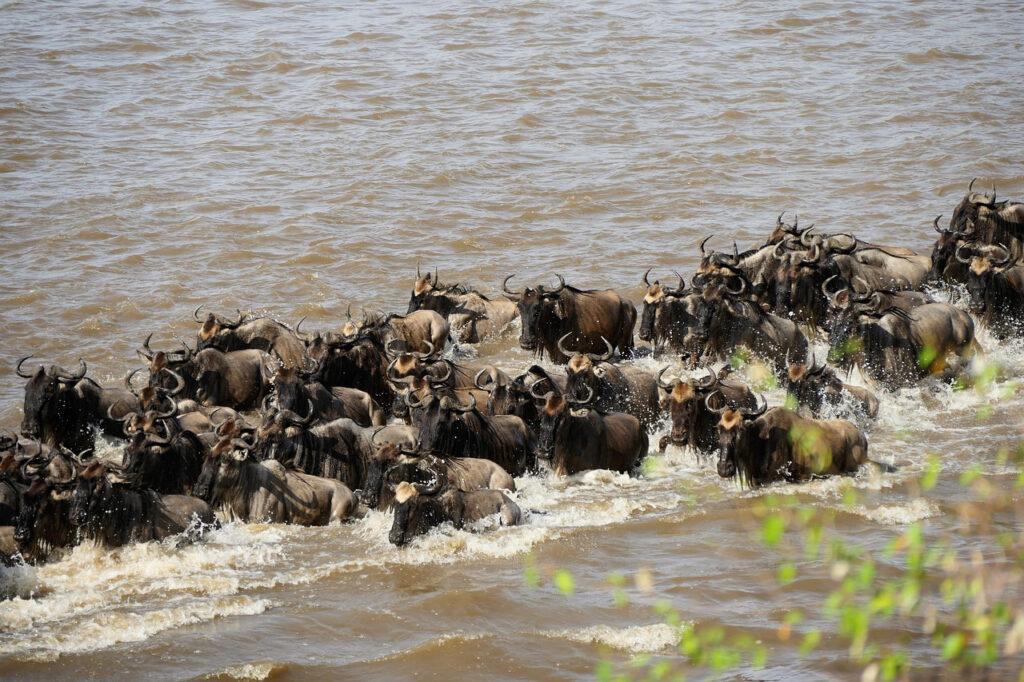 viaggio di gruppo in Tanzania