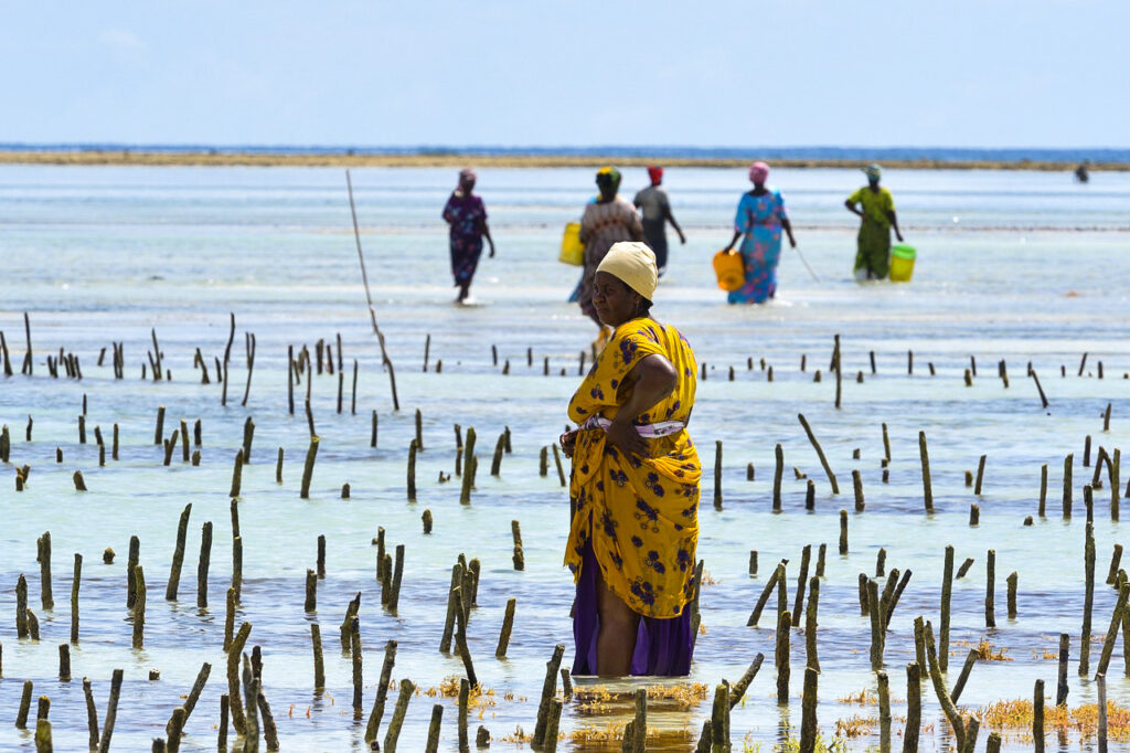 Cose da sapere prima di andare a Zanzibar