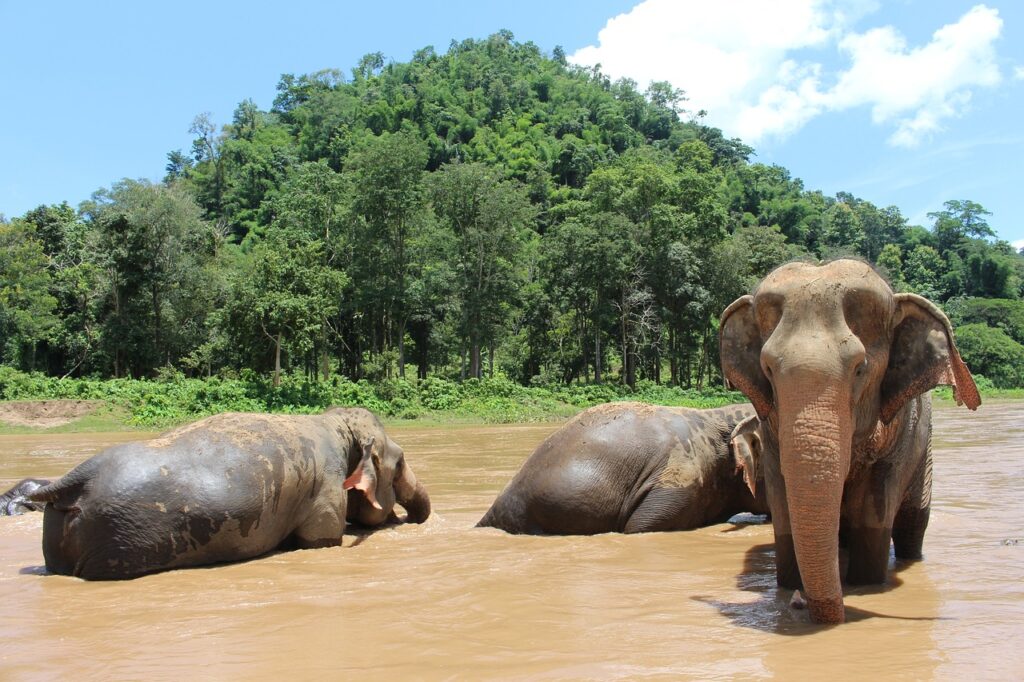 viaggio di gruppo in Thailandia